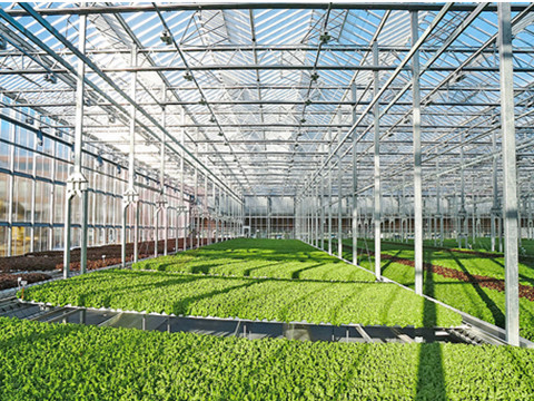 Agricultural Greenhouse